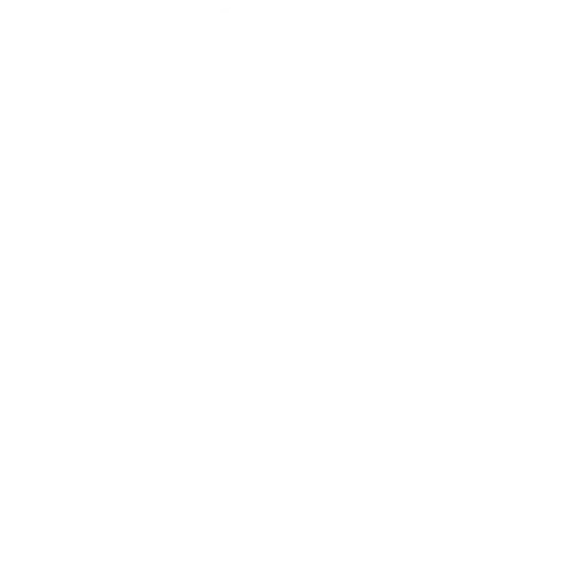 Stanford University